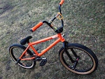 black pedlas