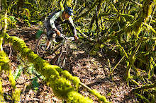 Norco Shore Two 2009 - Full review