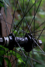 Profile mini rr hub, no disk 20mm ft, Arrow FRX ft rim, Atomlab pimplite rr, dt revolution spokes. Schwalbe tabletop ft tire, Primo Dirtmonster rr, tubes and strips $350