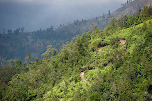 Bike trails near Blue Mountain in Jamaica at the Jamaica Fat Tyre Festival. This was part of the memorial ride for trail builder Ken Klowak who was killed last year in Mexico.