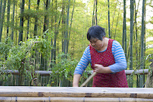 Summer is just around the corner. Perfect time to ride the bamboo forests of Moganshan.

Photos by A Yuan, Eric, Jean Luc