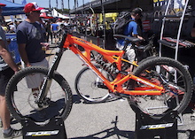 What Tyler Found: Day 4 - Sea Otter 2013
